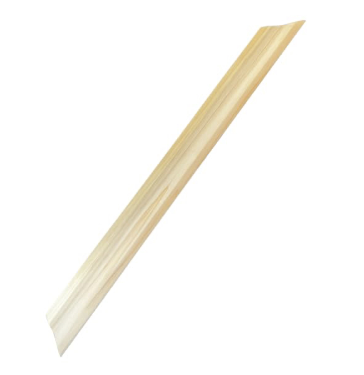 W-RULER60
